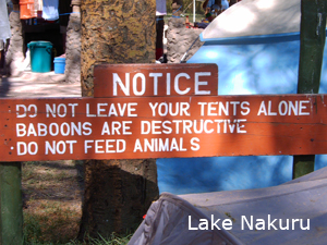 Lake Nakuru